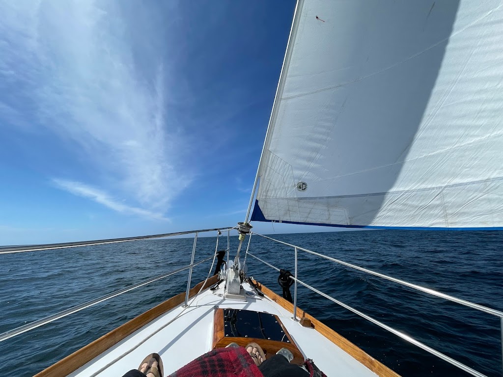 Seadawg Sailing Charters | 1900 N Harbor Dr, Oceanside, CA 92054, USA | Phone: (858) 255-0783