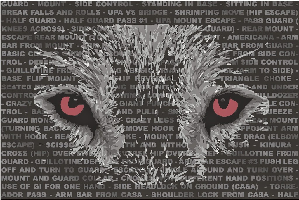 Wolfpack Jiu-Jitsu/Gracie Style | 1246 Cedar Rd, Chesapeake, VA 23322, USA | Phone: (757) 558-9869