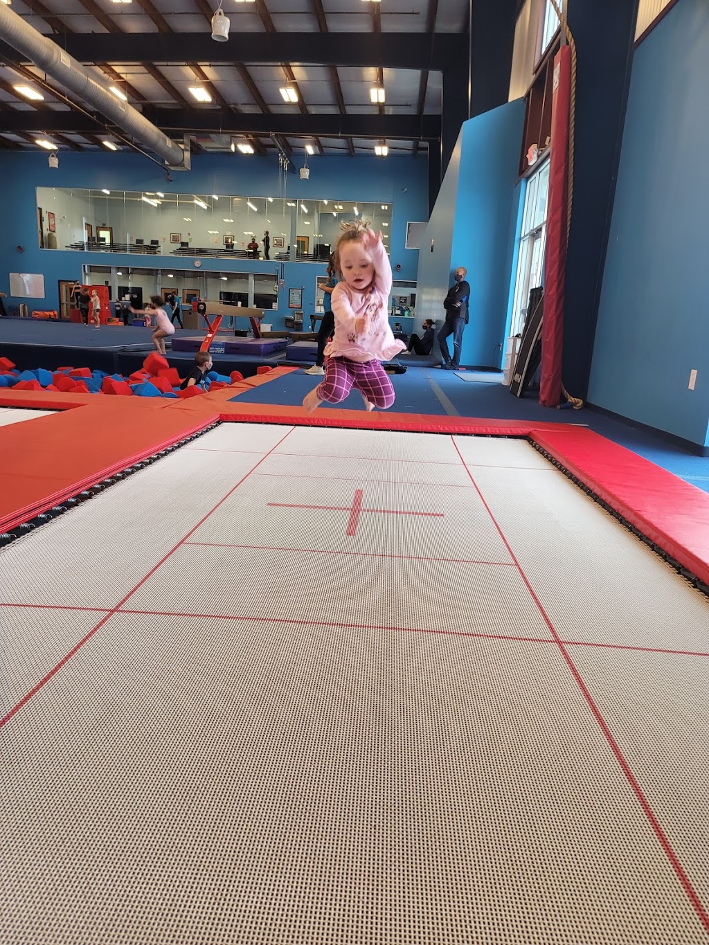 Metro Stars Gymnastics | 3706 203rd St, Omaha, NE 68130, USA | Phone: (402) 991-5700