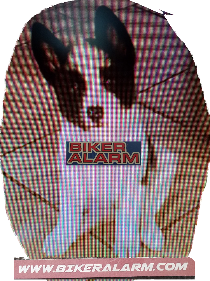 Biker Alarm | 1233 Hickory Grove, North Las Vegas, NV 89031, USA | Phone: (702) 278-3082