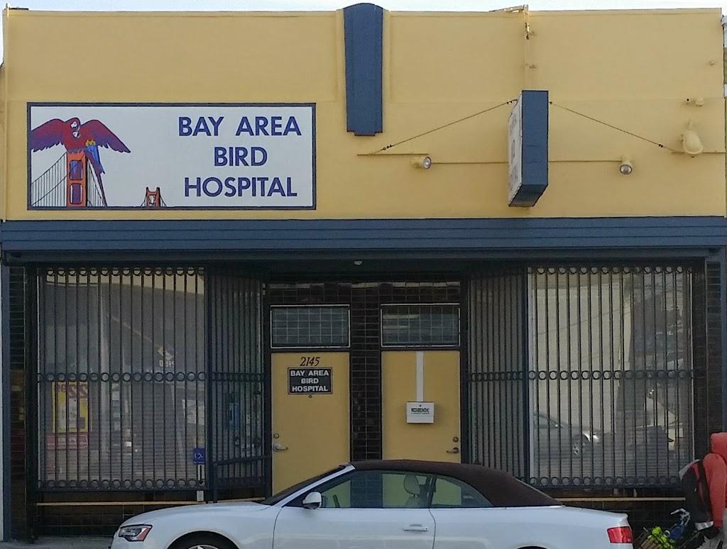 Bay Area Bird and Exotics Hospital | 2145 Taraval St, San Francisco, CA 94116, USA | Phone: (415) 566-4359