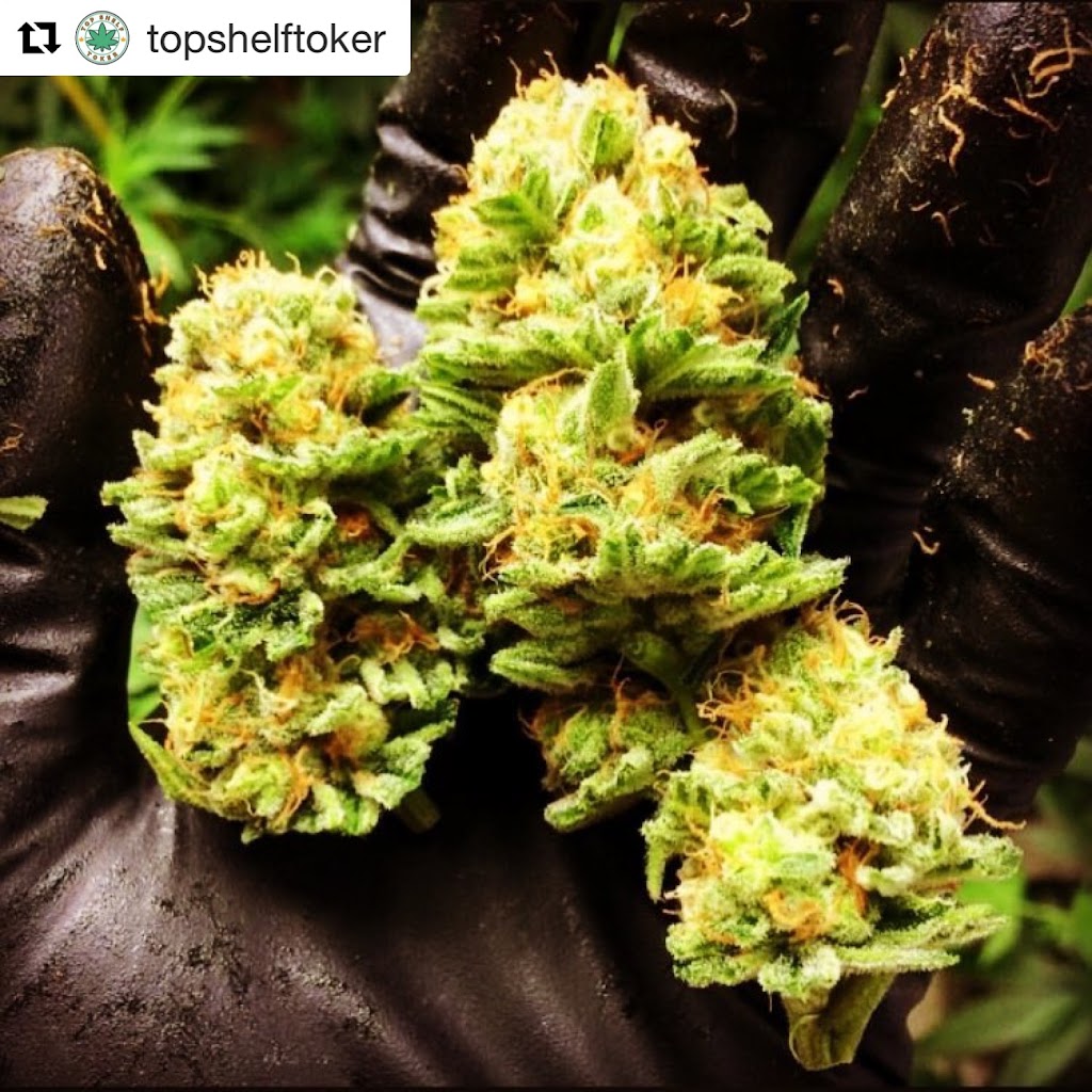 Top Shelf Toker® | 250 S Central Ave, Wood Dale, IL 60191, USA | Phone: (773) 905-7104