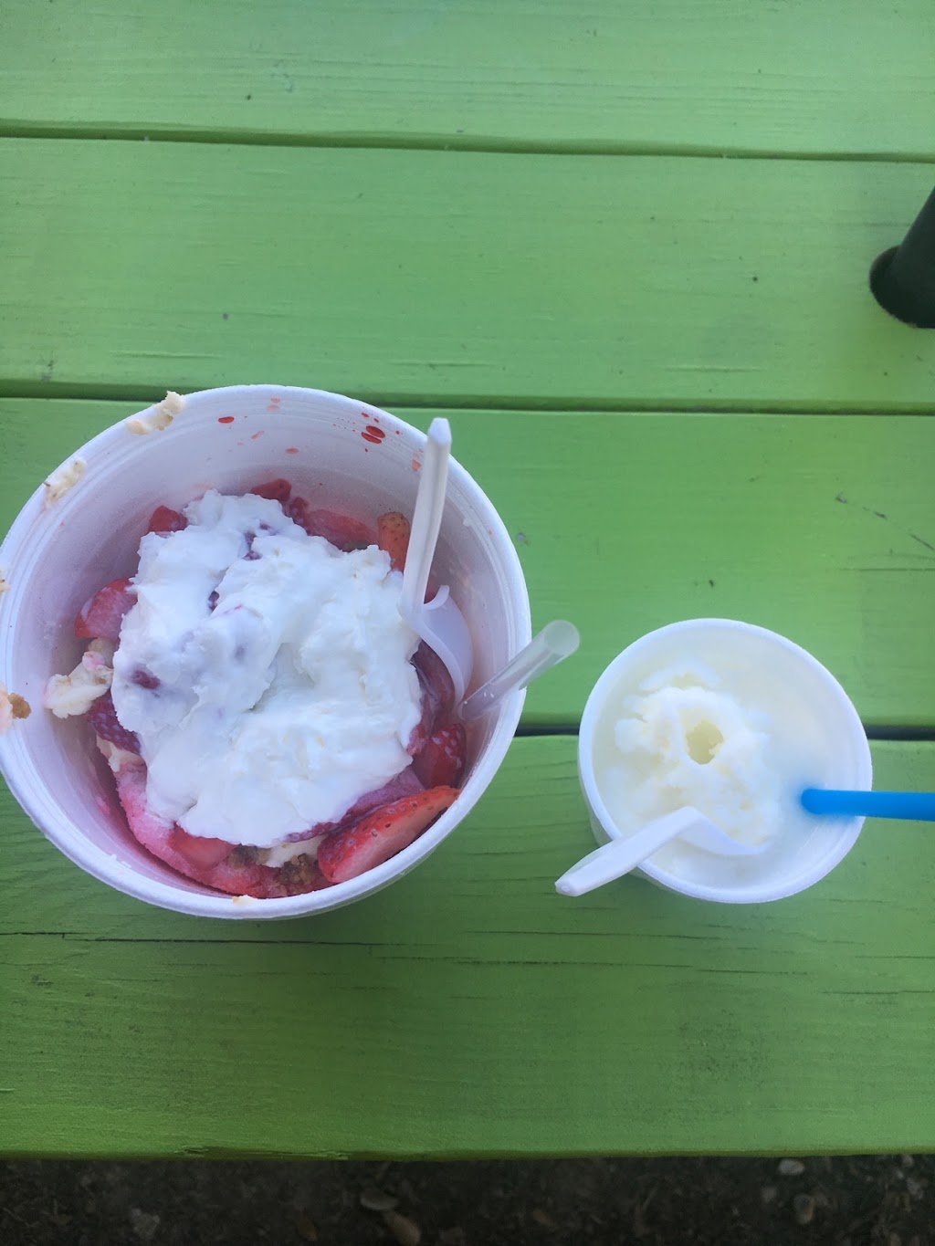 Heavenly Snowballs | 13601-13695 Aydell Ln, Walker, LA 70785, USA | Phone: (225) 209-8373