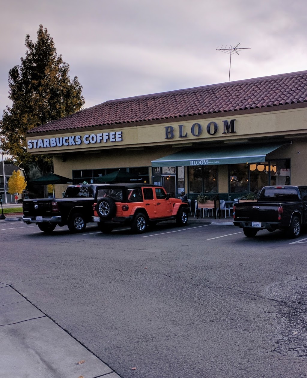 Bloom | 202 Saratoga Ave, Santa Clara, CA 95050, USA | Phone: (408) 345-2667