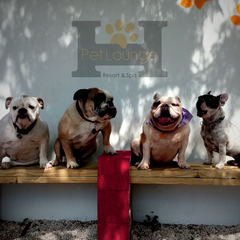 Pet Lounge Miami | 355 NE 79th St, Miami, FL 33138, USA | Phone: (305) 381-5551