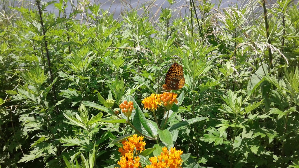 Boyce Park Nature Center | 675 Old Frankstown Rd, Plum, PA 15239, USA | Phone: (724) 733-4618