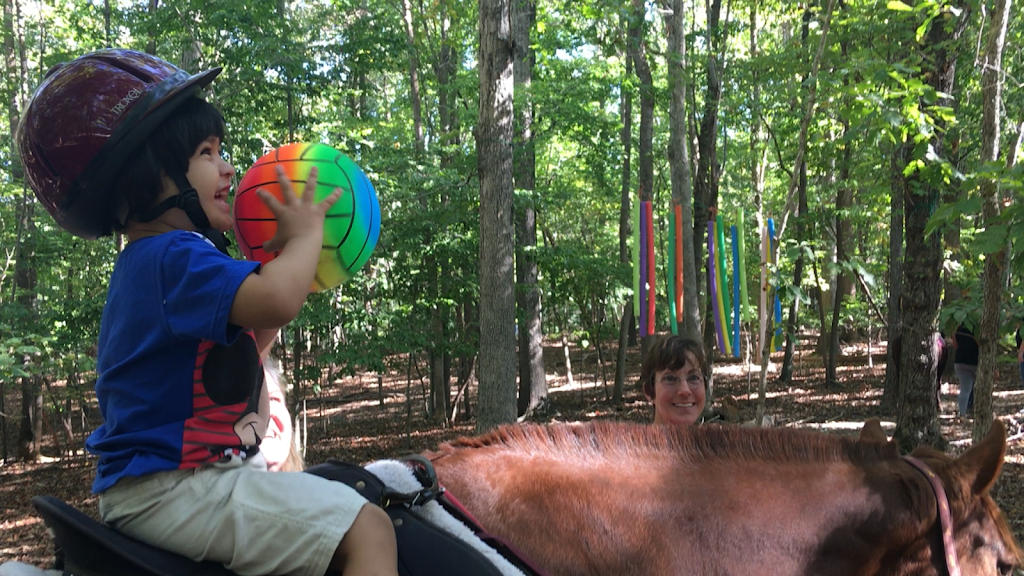 Helping Horse Therapeutic Riding | 5104 Riley Hill Rd, Wendell, NC 27591, USA | Phone: (919) 816-2103