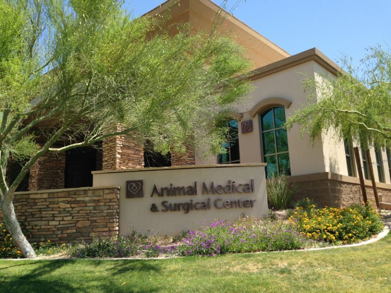 The ANIC @ Animal Medical & Surgical Center | 17477 N 82nd St, Scottsdale, AZ 85255, USA | Phone: (480) 502-4400