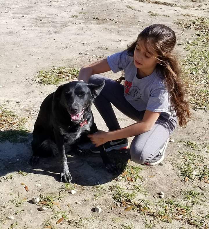 Friends of Raising Canes Camilla City Bark Park | 901 Howze Beach Rd, Slidell, LA 70458, USA | Phone: (985) 646-4371