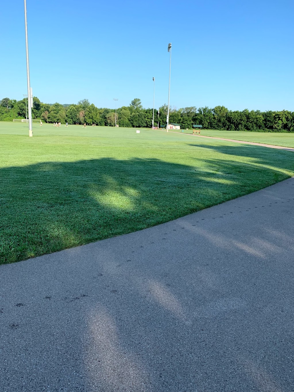 Miss Peggys Bark Park (formerly Barkwood Dog Park) | Tower Park, Brentwood, TN 37027, USA | Phone: (615) 371-0080