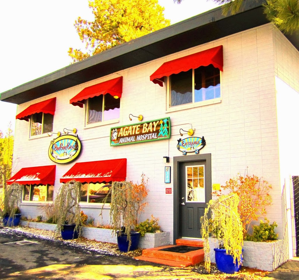 Agate Bay Animal Hospital | 580 National Ave, Tahoe Vista, CA 96148, USA | Phone: (530) 546-7522