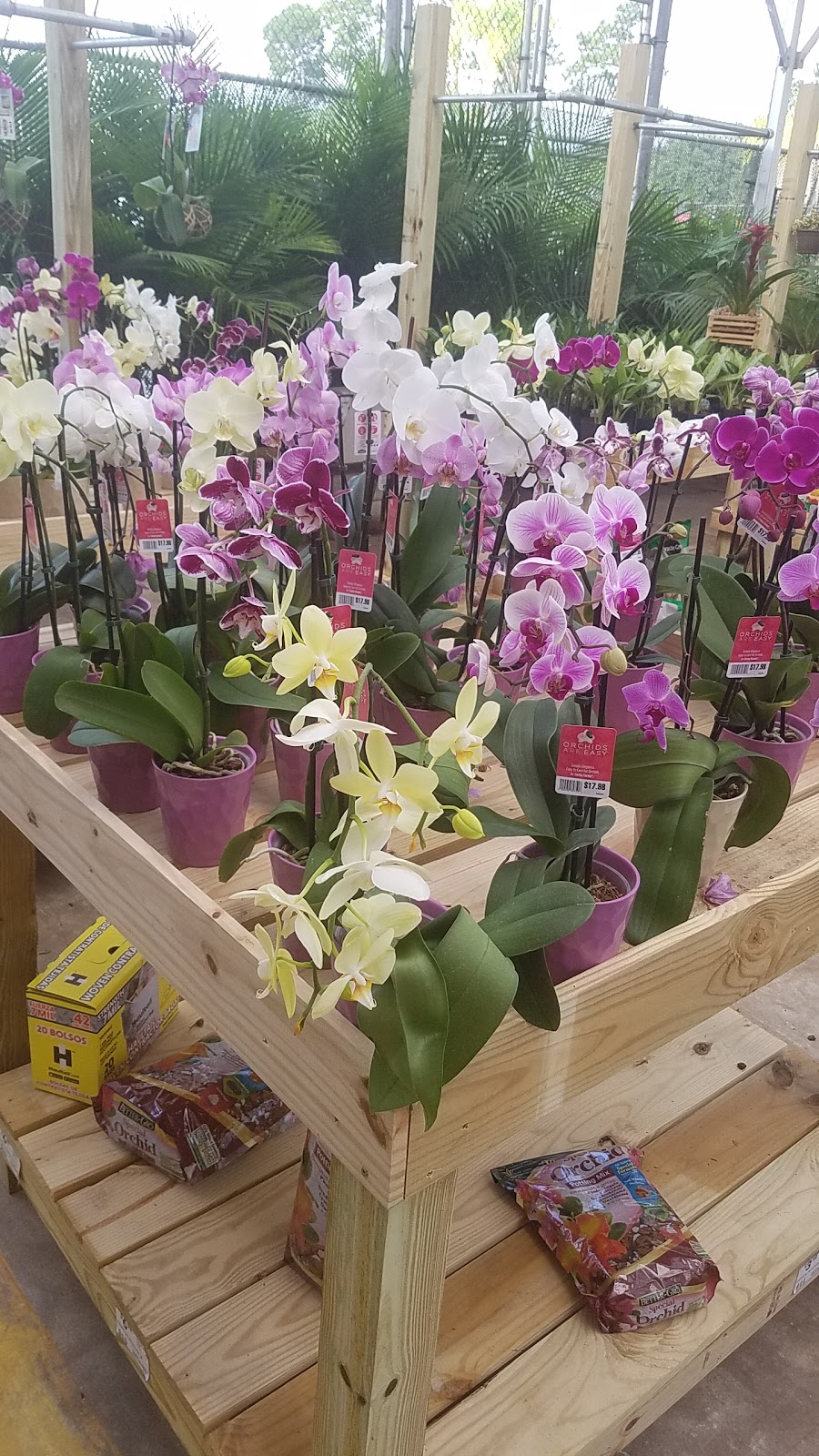 Lowes Garden Center | 474283 E State Rd 200, Fernandina Beach, FL 32034, USA | Phone: (904) 277-5000