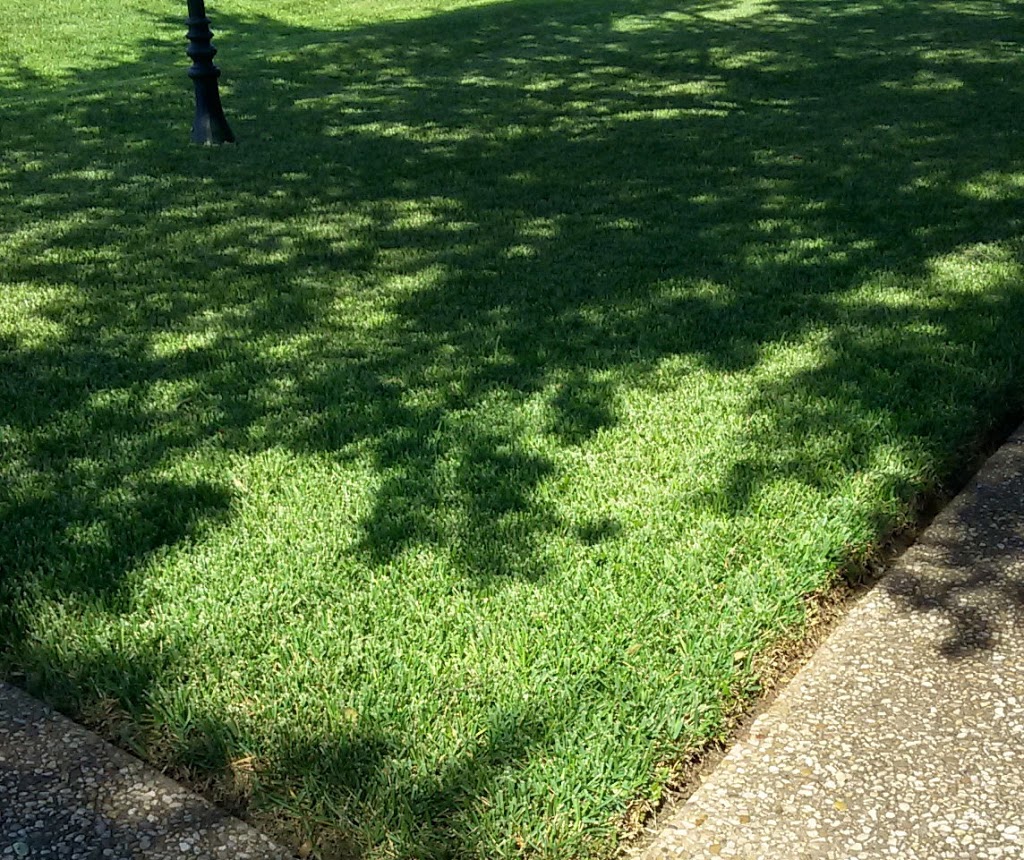Real Green Pest and Lawn | 15527 Ranch Rd 620 N, Austin, TX 78717, USA | Phone: (512) 955-5277
