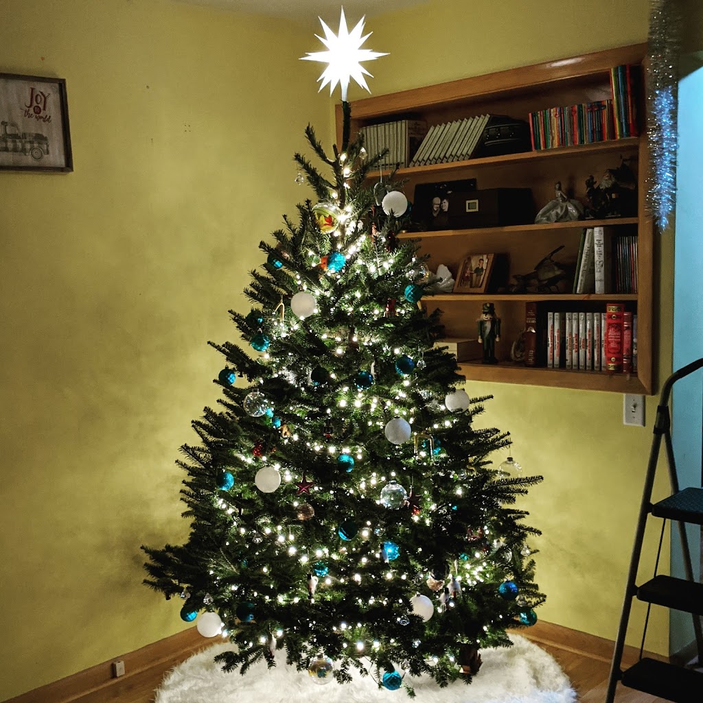 Riverside Christmas Trees | 982 Canal Rd, Marshall, WI 53559, USA | Phone: (608) 334-4257