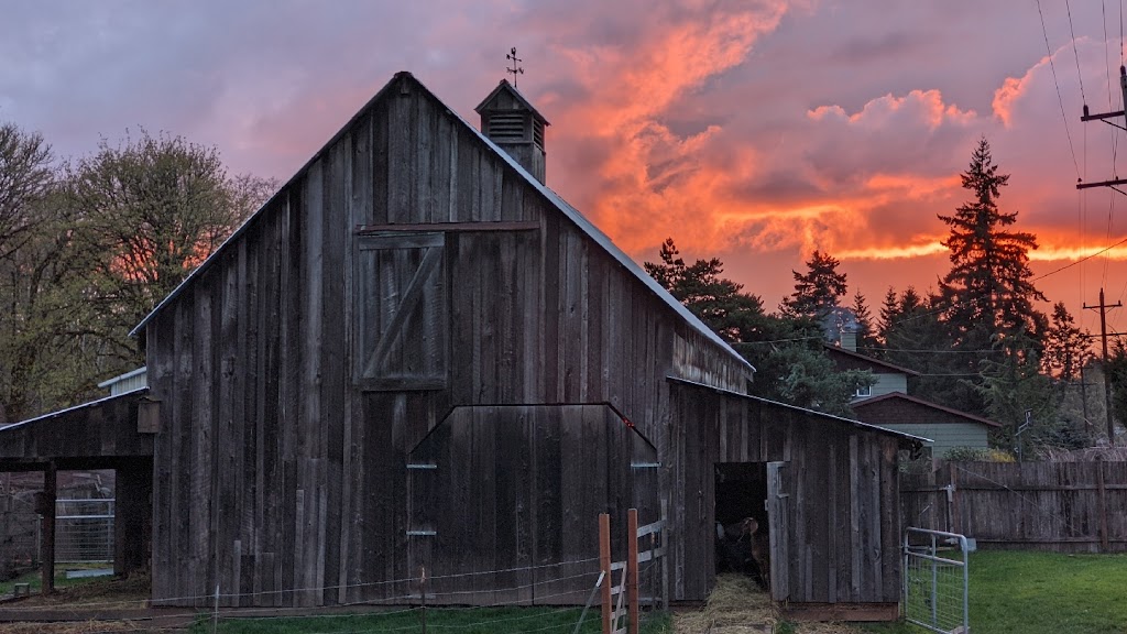 Cheep Housing | 58240 Nehalem Hwy S, Vernonia, OR 97064, USA | Phone: (503) 840-8136