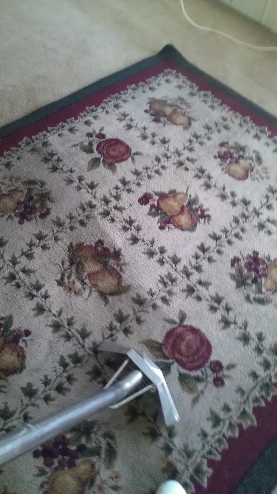 Full Service Carpet Care | 861 Bermuda Dr, Hemet, CA 92543, USA | Phone: (951) 929-8849