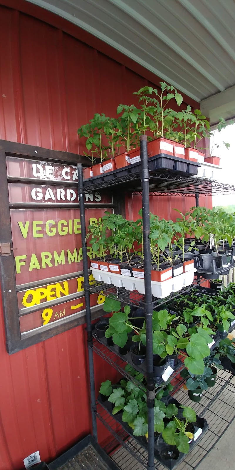 DeCamp Gardens Produce Farm | 1165 N 75 E, Albion, IN 46701, USA | Phone: (260) 636-2924