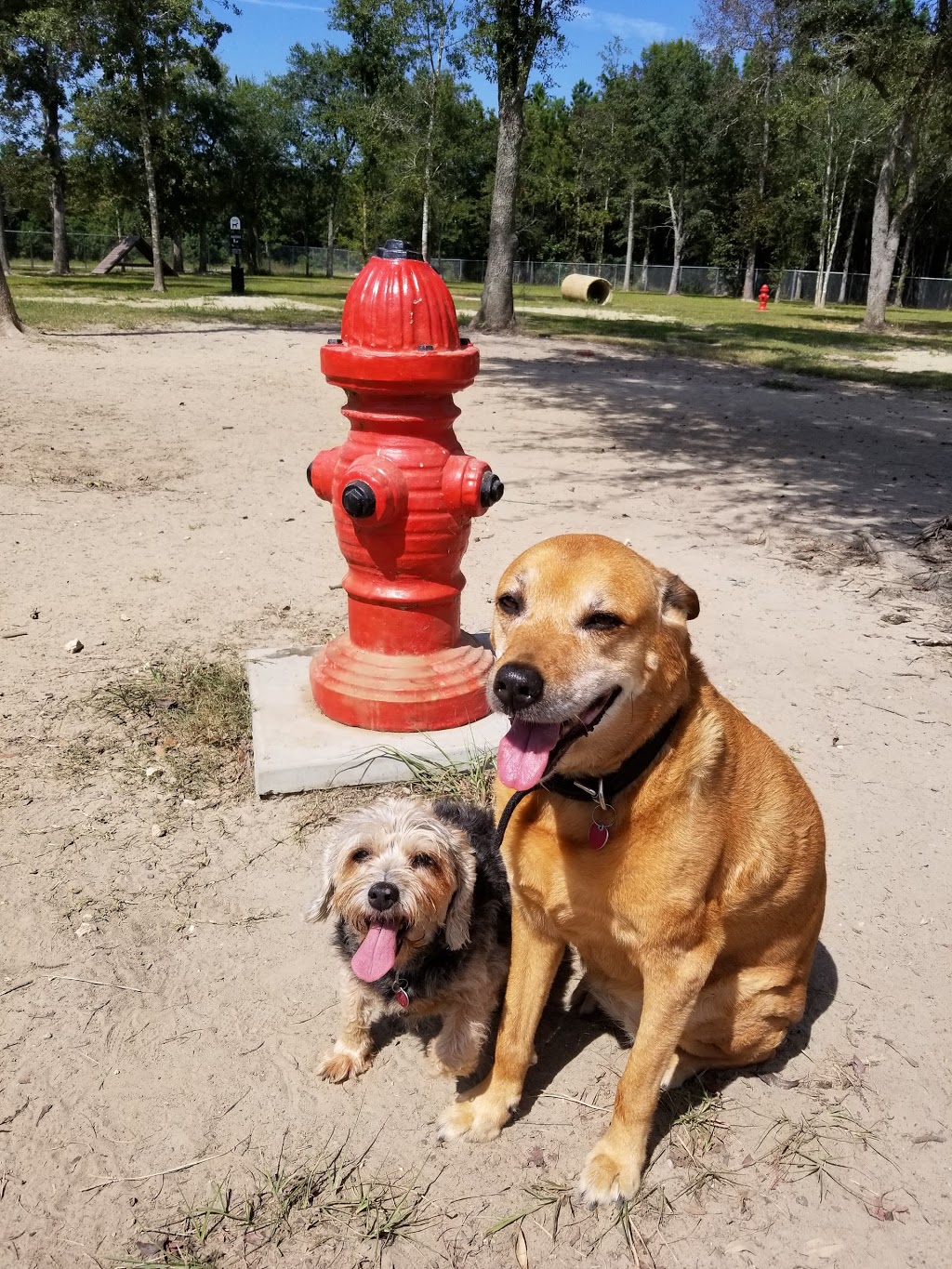 Friends of Raising Canes Camilla City Bark Park | 901 Howze Beach Rd, Slidell, LA 70458, USA | Phone: (985) 646-4371