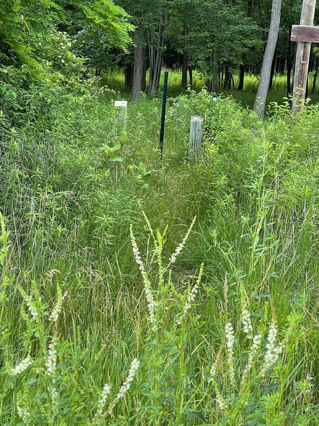 Sibley Prairie Nature Preserve - West Prairie | 26360 West Rd, Brownstown Charter Twp, MI 48134, USA | Phone: (734) 484-6565