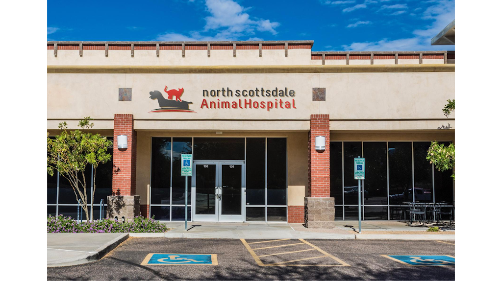 North Scottsdale Animal Hospital | 14870 N Northsight Blvd Suite #101, Scottsdale, AZ 85260, USA | Phone: (480) 368-1741