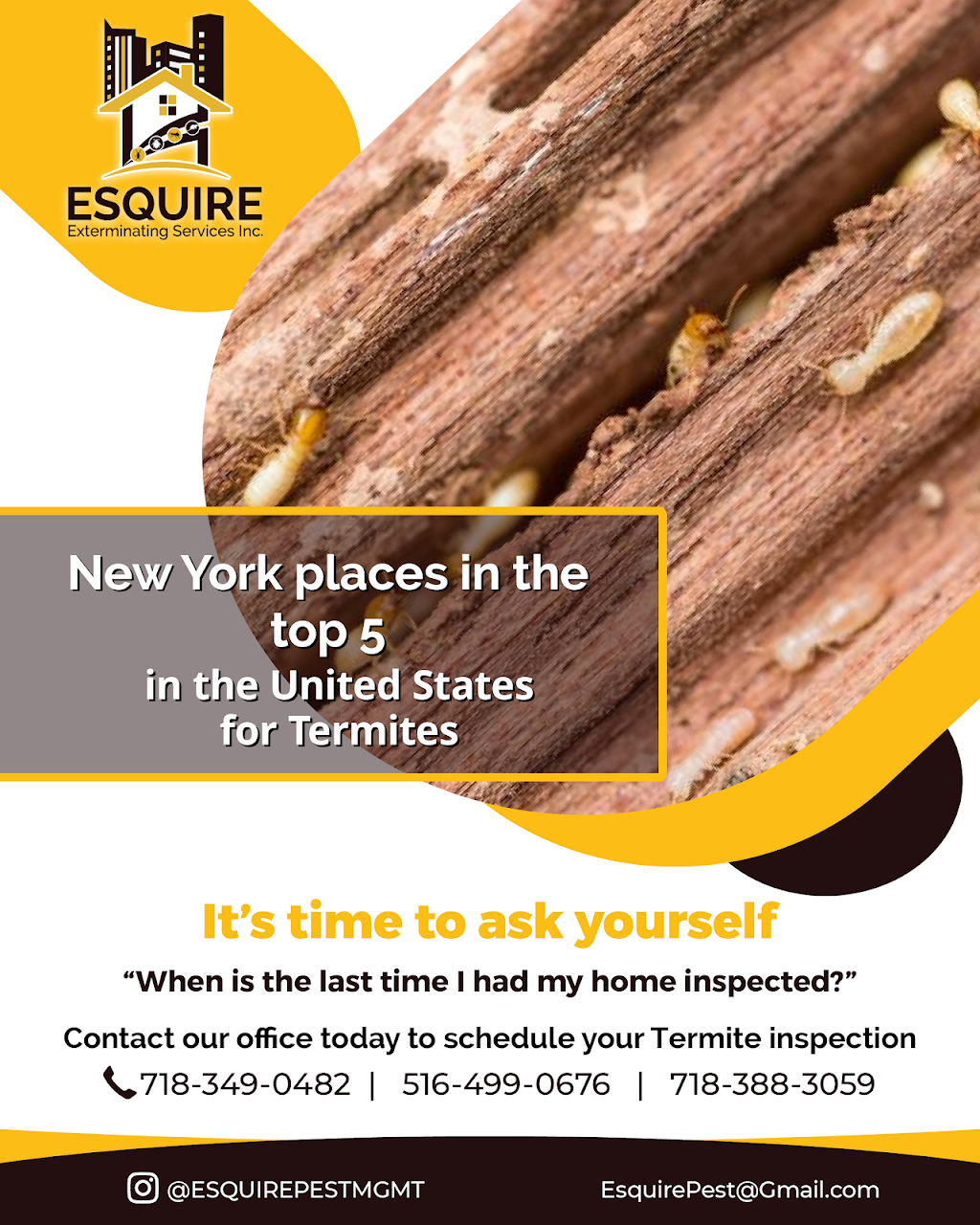 Esquire Exterminating Services Inc | 239 Nassau Ave, Brooklyn, NY 11222, USA | Phone: (718) 349-0482