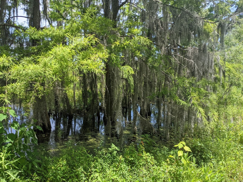 Lafittes Barataria Museum and Wetland Trace | 4917 City Park Dr, Jean Lafitte, LA 70067, USA | Phone: (504) 689-7888