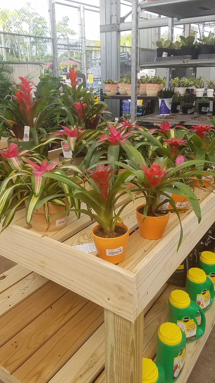 Lowes Garden Center | 474283 E State Rd 200, Fernandina Beach, FL 32034, USA | Phone: (904) 277-5000