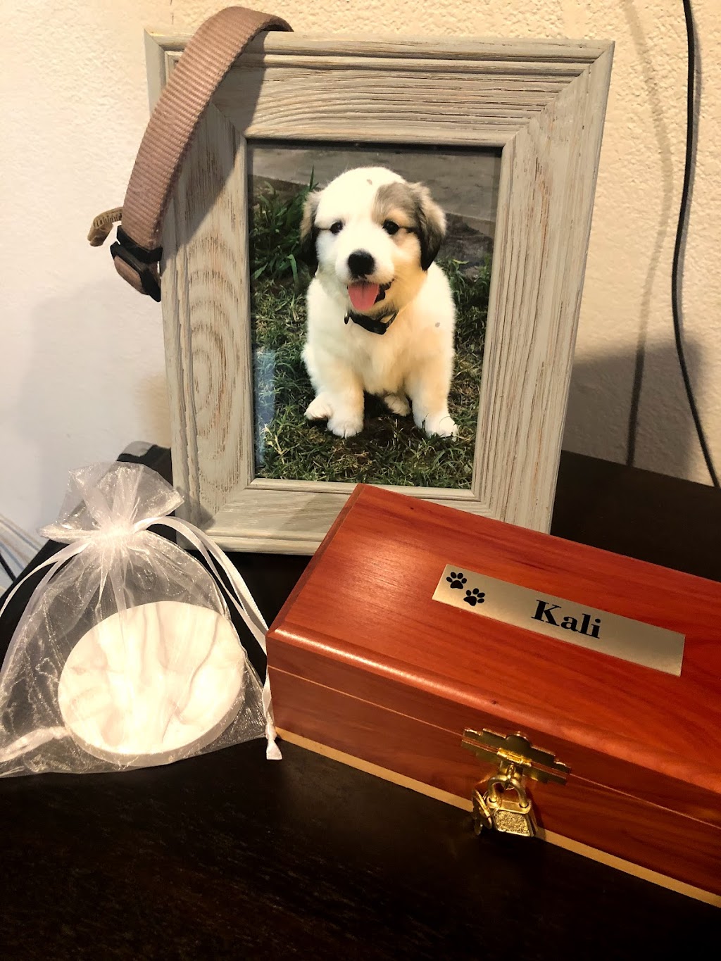 Pet Memories Cremation Service | 2500 State Hwy 66 Bldg #2570, Rockwall, TX 75087, USA | Phone: (972) 772-5671