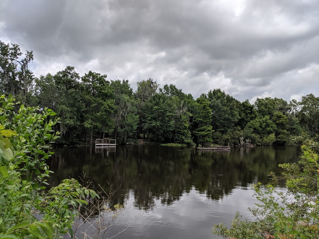 Lafittes Barataria Museum and Wetland Trace | 4917 City Park Dr, Jean Lafitte, LA 70067, USA | Phone: (504) 689-7888