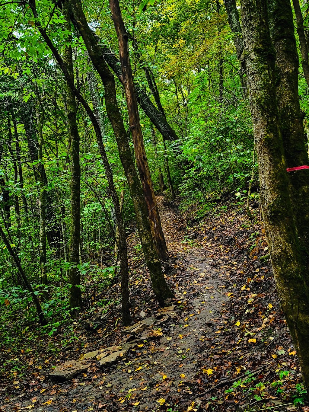 Halls Creek Woods State Nature Preserve | 3232 Mason Morrow Millgrove Rd, Morrow, OH 45152, USA | Phone: (614) 265-6561