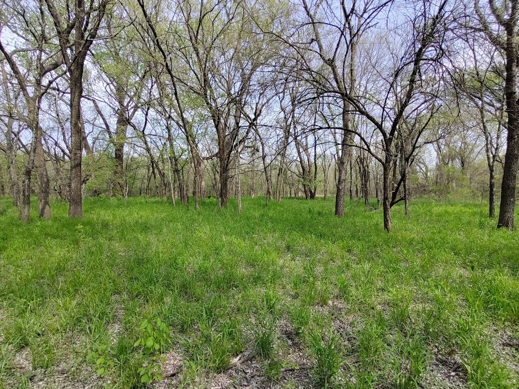 Clear Creek Natural Heritage Center | 3310 Collins Rd, Denton, TX 76208, USA | Phone: (940) 349-7275