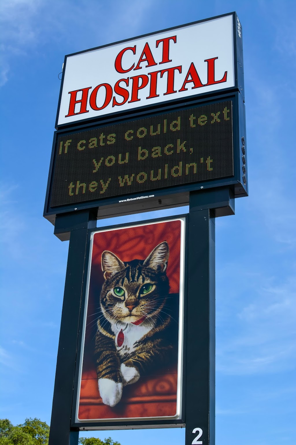 Cat Hospital At Palm Harbor | 2501 US-19 ALT, Palm Harbor, FL 34683, USA | Phone: (727) 785-2287