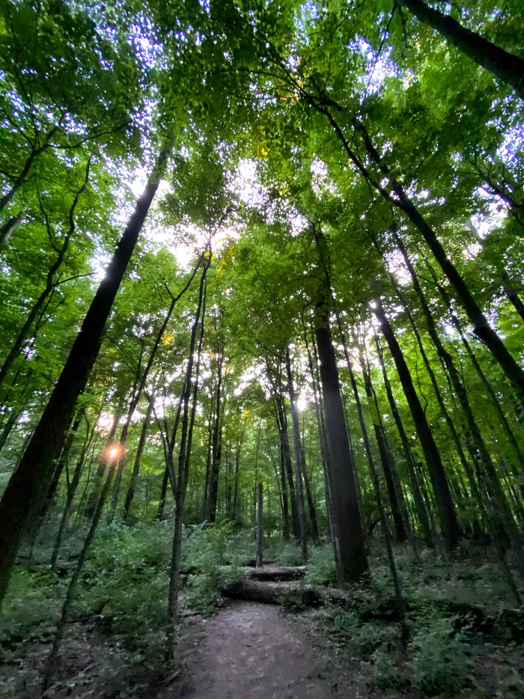 Johnson Nature Preserve | 10840 Deerfield Rd, Montgomery, OH 45242, USA | Phone: (513) 891-2424