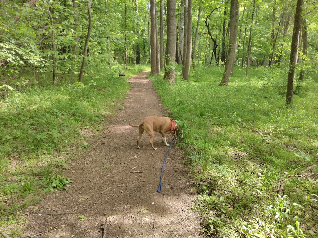 Bledsoe Creek State Park | 400 Zieglers Fort Rd, Gallatin, TN 37066, USA | Phone: (888) 867-2757