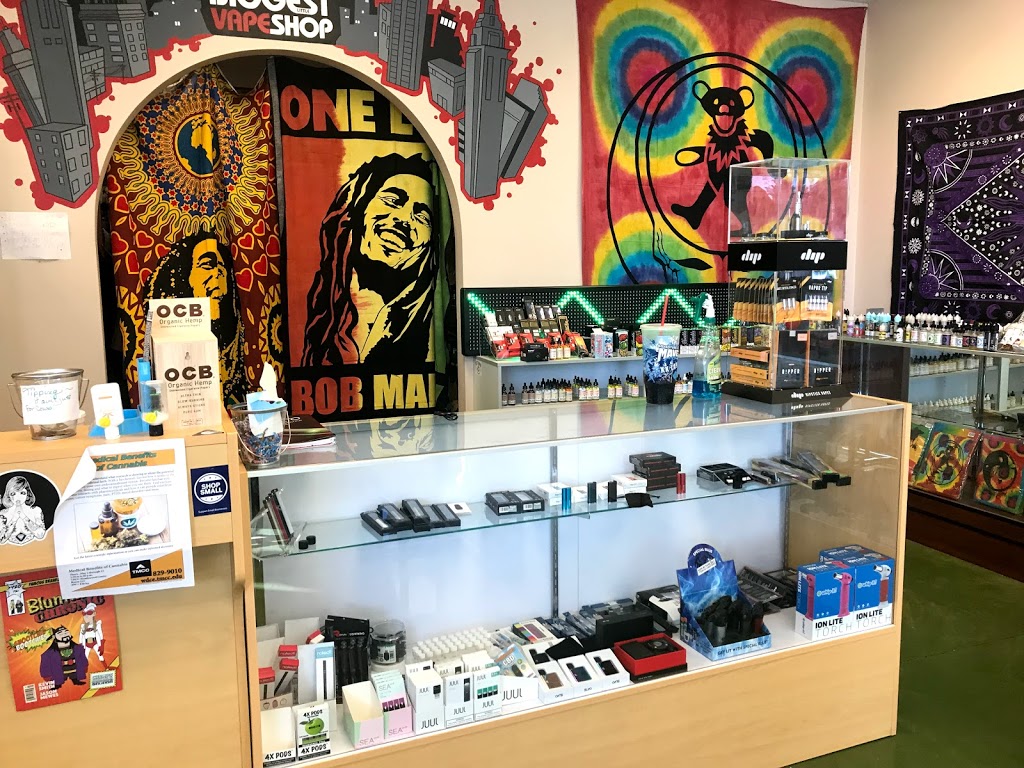 Biggest Little Vape Shop South | 1530 S Stanford Way #106, Sparks, NV 89431, USA | Phone: (775) 470-5130