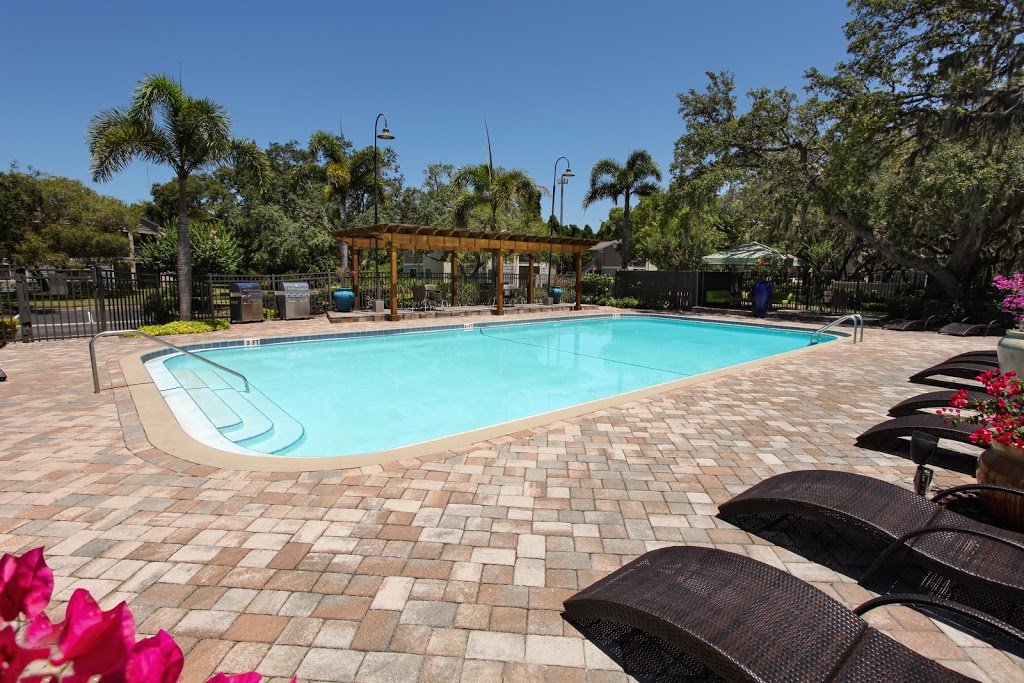 Agora at Port Richey Apartments | 8228 Chasco Woods Blvd, Port Richey, FL 34668, USA | Phone: (727) 846-0766