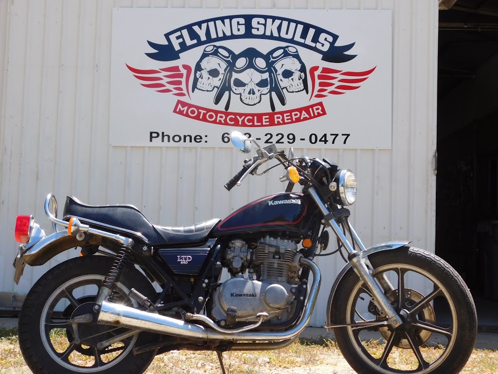 Flying Skulls | 1844 Newsom Mound Rd, Springtown, TX 76082, USA | Phone: (682) 229-0477