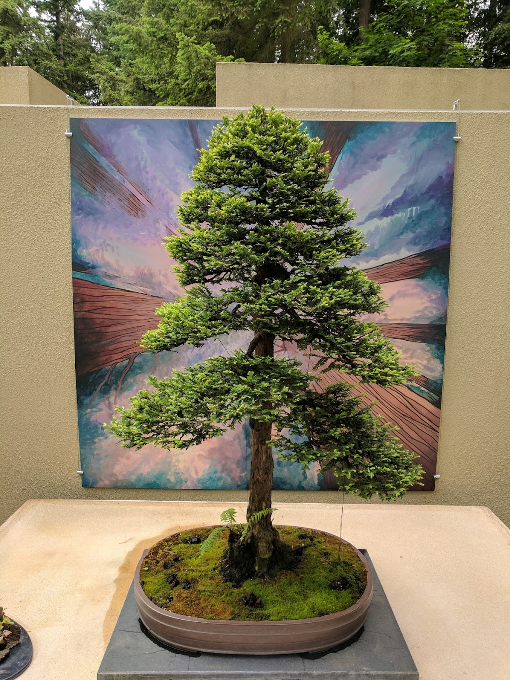 Pacific Bonsai Museum | 2515 S 336th St, Federal Way, WA 98003, USA | Phone: (253) 353-7345