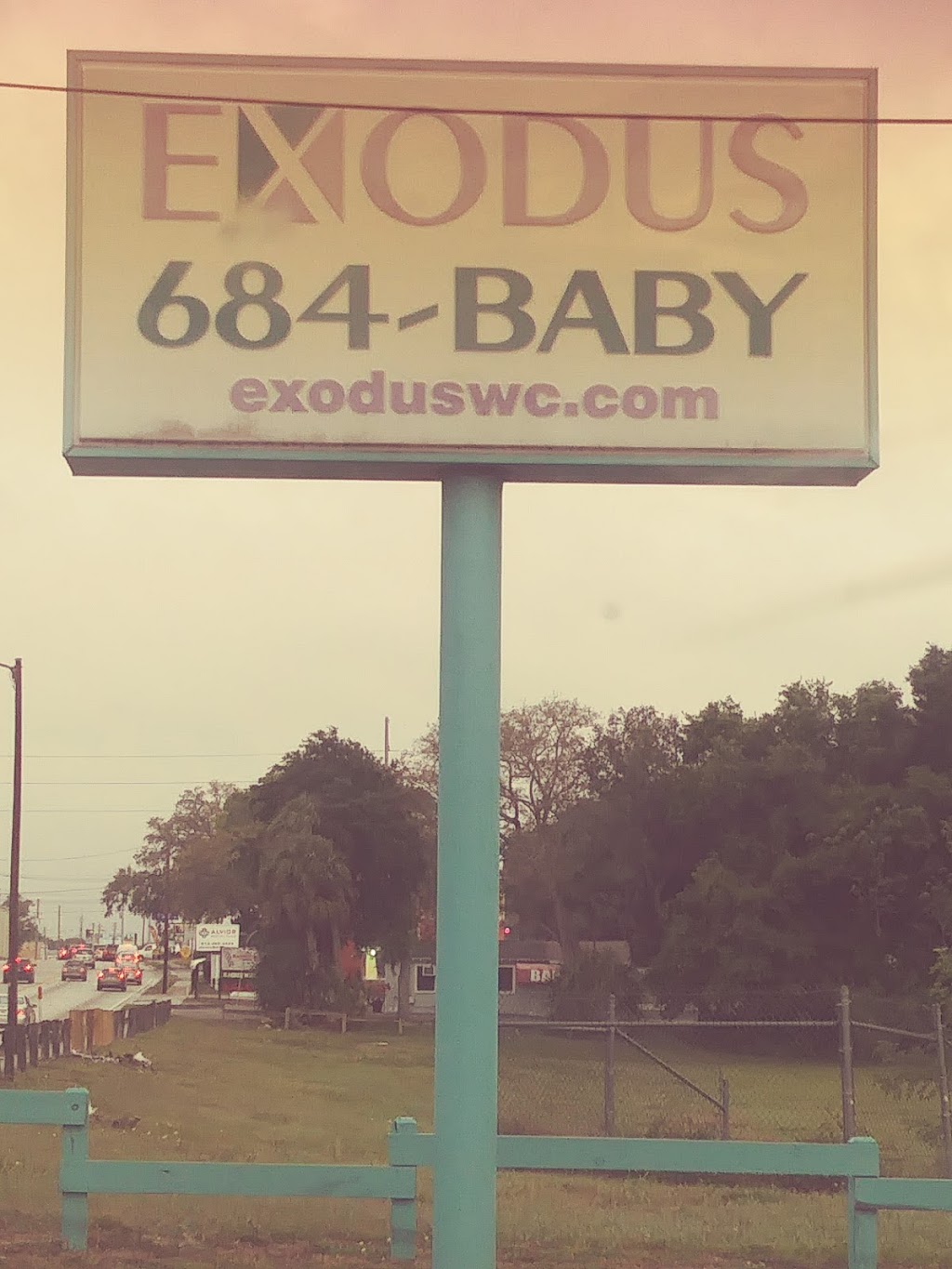 Exodus Womens Center | 1513 W Busch Blvd, Tampa, FL 33612, USA | Phone: (813) 684-2229