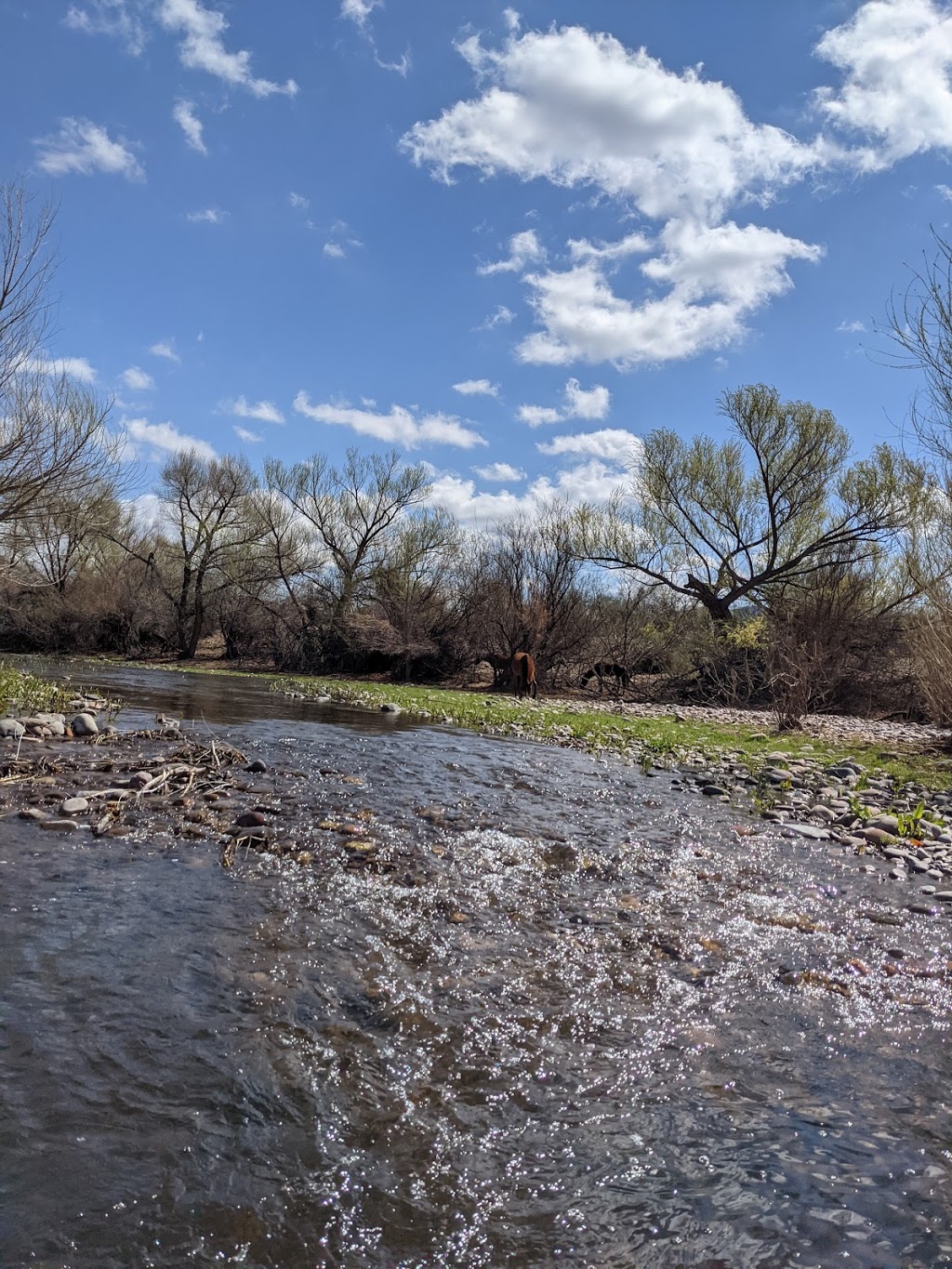 Water Users Recreation Site | Tonto Basin, AZ 85553, USA | Phone: (480) 610-3300