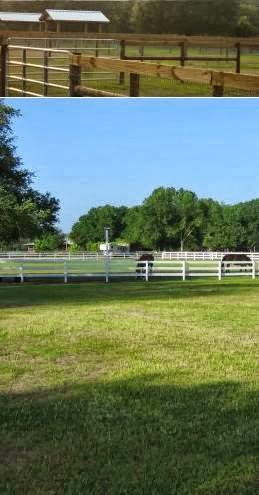 True Blue Farm | 630 Myakka Rd, Sarasota, FL 34240, USA | Phone: (941) 457-7669