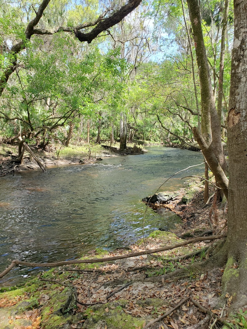 Blackwater Creek Nature Preserve | 2469 Patrinostro Rd, Plant City, FL 33565, USA | Phone: (813) 757-3713