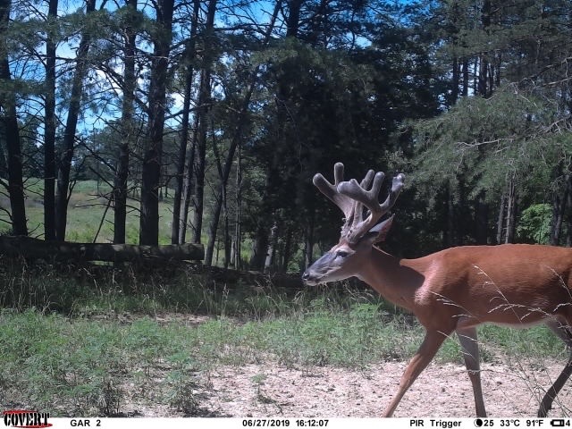 Tower Tines Trophy Hunts | 3205 Hebron Church Rd, Henryville, IN 47126, USA | Phone: (502) 664-8238