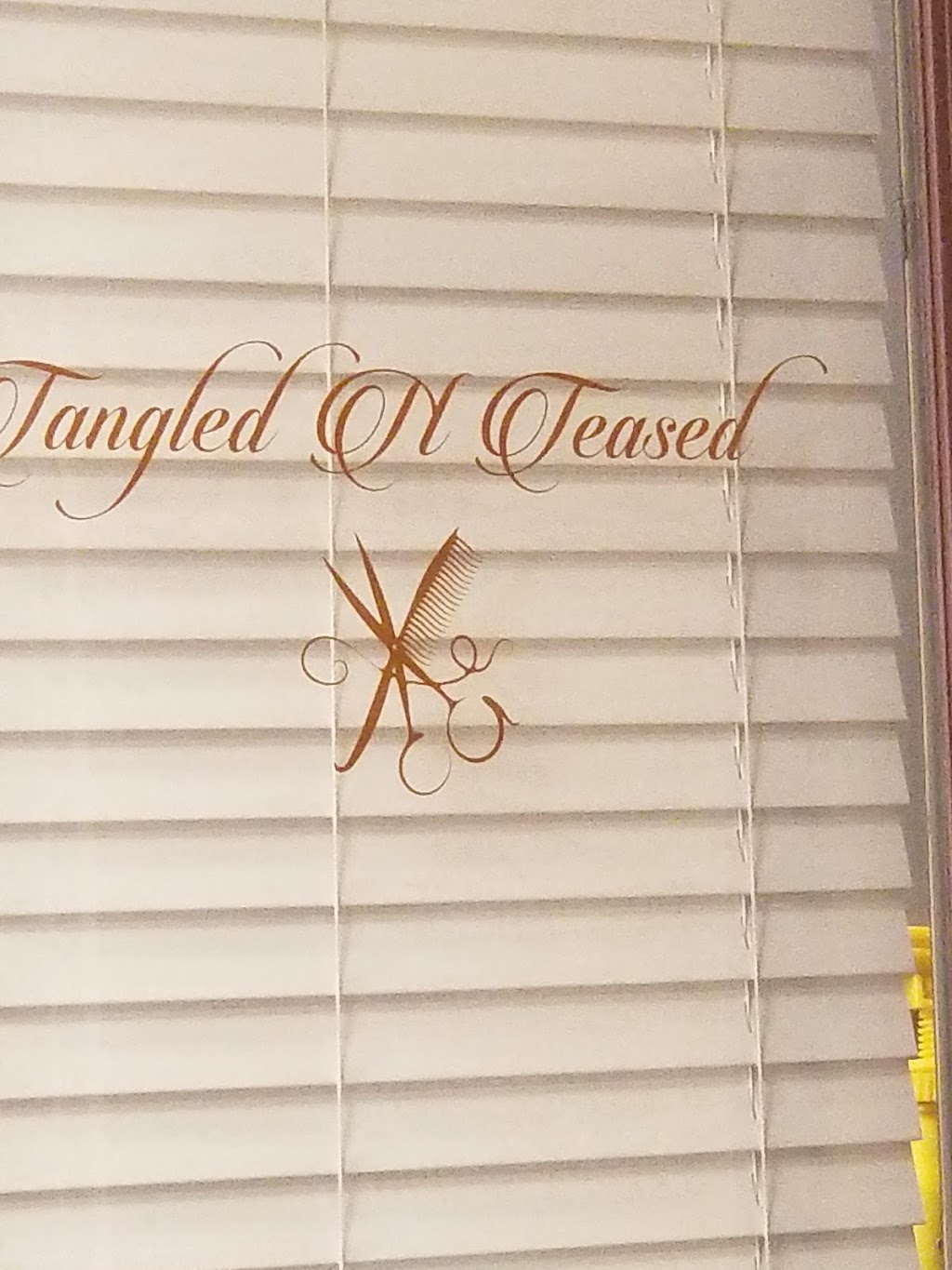 Tangled N Teased | 13720 N 75th Ave UNIT 232, Peoria, AZ 85381, USA | Phone: (623) 698-4648