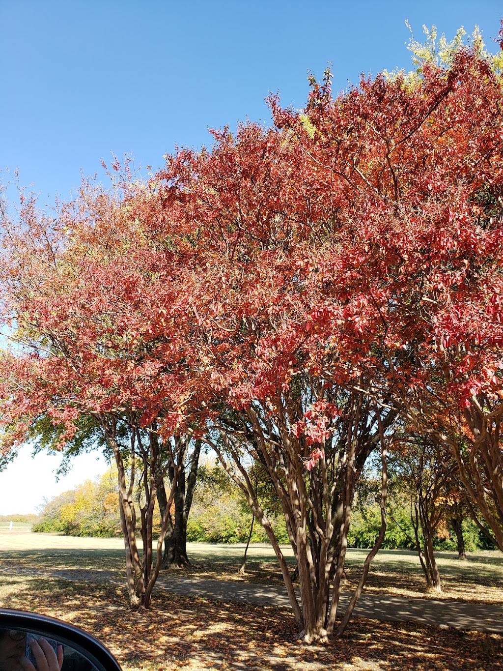 Bowling Green Park and Community Garden | 2200 Bowling Green St, Denton, TX 76207, USA | Phone: (940) 349-7275