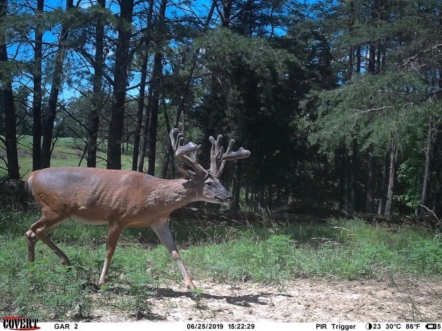 Tower Tines Trophy Hunts | 3205 Hebron Church Rd, Henryville, IN 47126, USA | Phone: (502) 664-8238