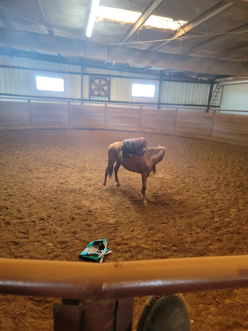 Golden Touch Stables | 7058 FM2450, Sanger, TX 76266, USA | Phone: (940) 368-9037