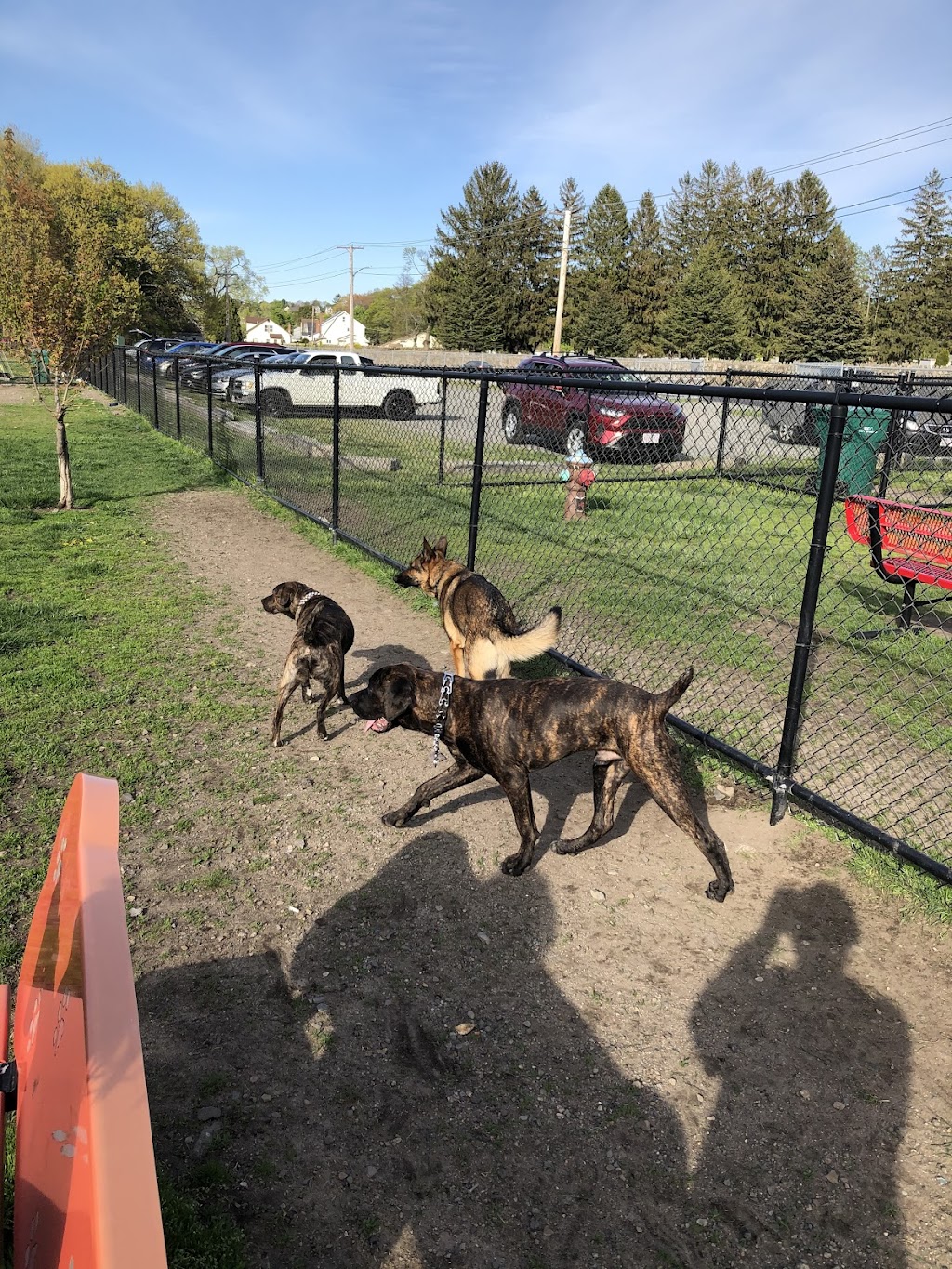 Barkland Ave Dog Park | Lynn, MA 01904, USA | Phone: (781) 599-1444