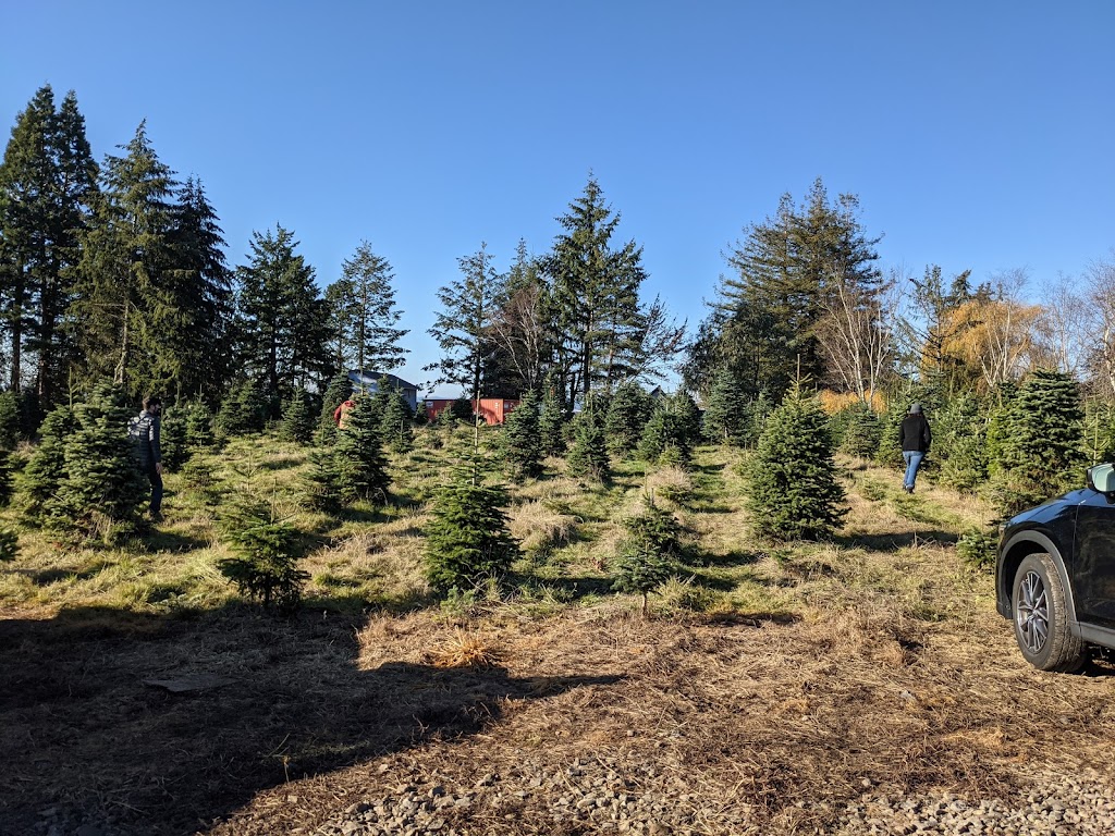 Helvetia Lavender Farm and Christmas Tree Farm | 12814 NW Bishop Rd, Hillsboro, OR 97124, USA | Phone: (503) 334-0905
