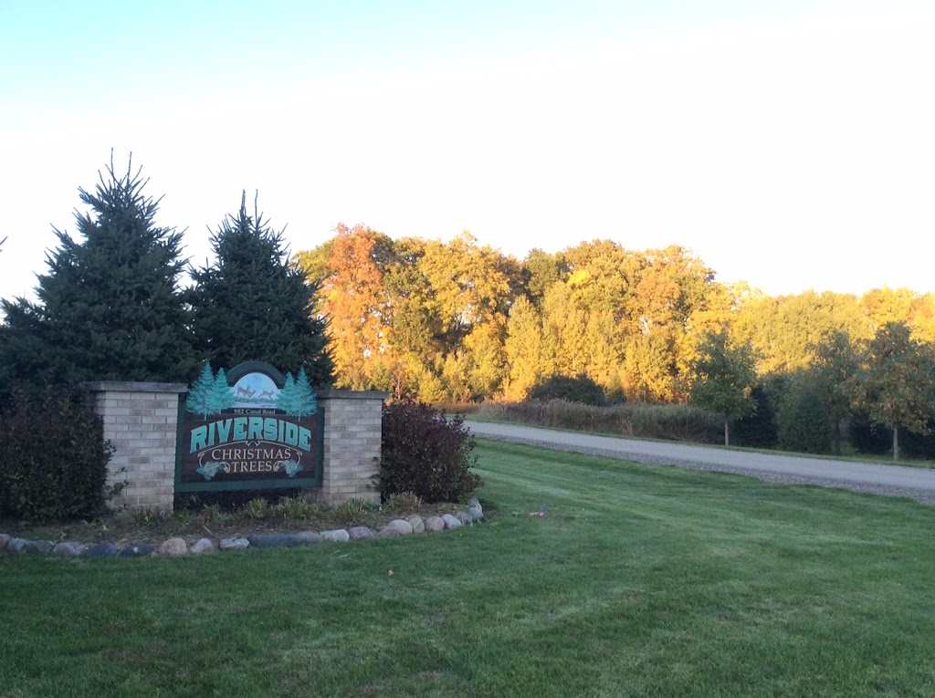 Riverside Christmas Trees | 982 Canal Rd, Marshall, WI 53559, USA | Phone: (608) 334-4257